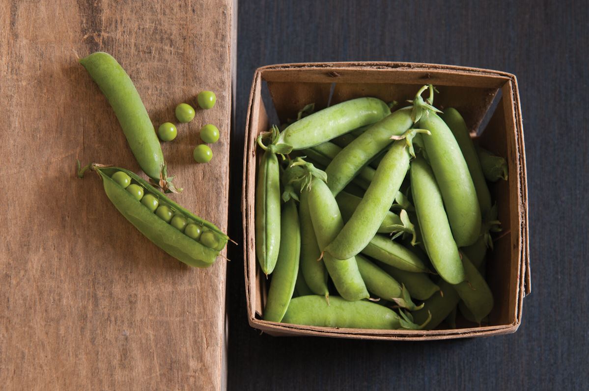 Strike – Treated Pea Seed